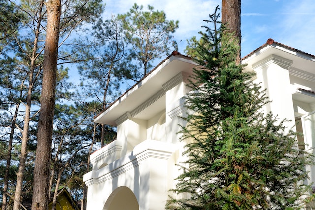 Kompleksowy przewodnik po zrównoważonym projektowaniu wnętrz: osiągnięcie stylu ekologicznego w domu