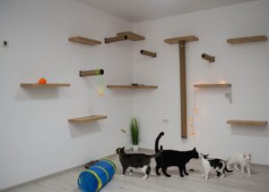 Kocia autostrada na ścianie - projekt, wymiary i montaż krok po kroku